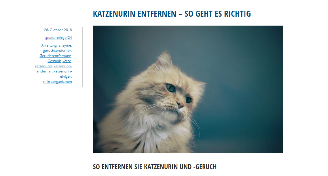 Spezialreiniger24 Wissen Blog - Beitrag zum Thema Katzenurin-Entfernung